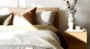 swath of sunlight shines across a well made bed and bedside table with a vase of cotton plants